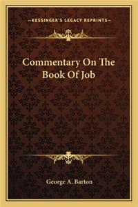 Commentary On The Book Of Job