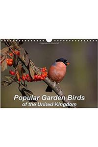 Popular Garden Birds of the United Kingdom 2017