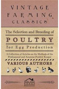 The Selection and Breeding of Poultry for Egg Production - A Collection of Articles on the Methods of the Professional and Amateur Poultry Keeper
