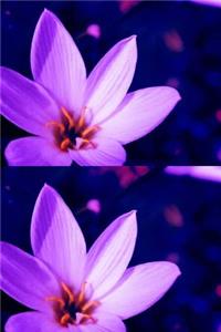 Double Exposure Lavender Flowers Journal