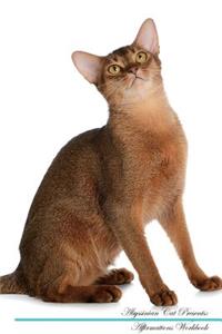 Abyssinian Cat Affirmations Workbook Abyssinian Cat Presents