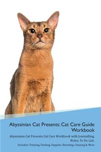 Abyssinian Cat Presents