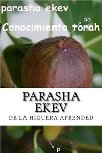 Parasha Ekev