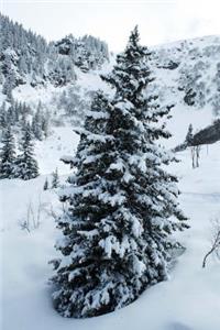 Snow Covered Pine Tree in the Forest Journal