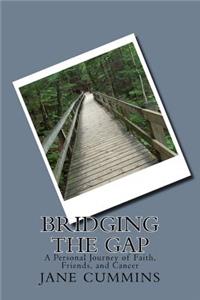 Bridging the Gap