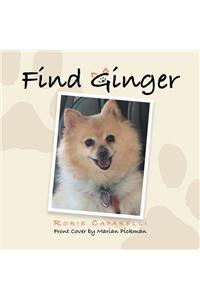 Find Ginger