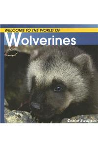 Welcome to the World of Wolverines