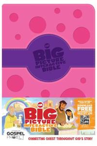 Big Picture Interactive Bible-HCSB