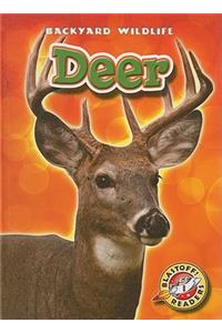 Deer