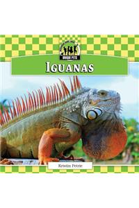 Iguanas