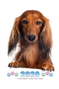 2020 Dachshund Planner - Weekly - Daily - Monthly
