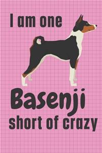 I am one Basenji short of crazy