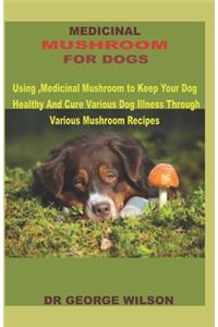 Medicinal Mushroom for Dogs