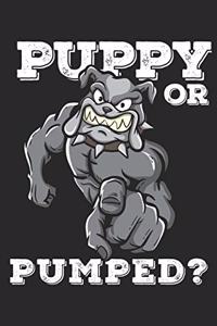 Puppy or Pumped?