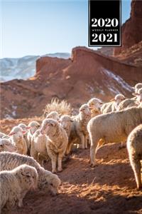 Sheep Lamm Shepherd Herder Farmer Week Planner Weekly Organizer Calendar 2020 / 2021 - Herd in Desert