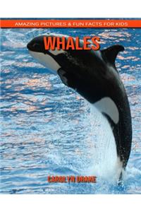 Whales