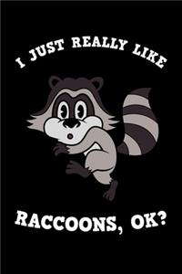 I Just Really Like Raccoons Ok
