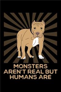 Monsters Aren't Real But Humans Are