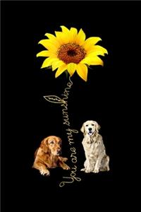 You Are My Sunshine