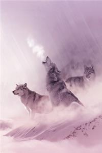 Wolf Trio Journal