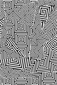 Spliced Optical Illusion Journal