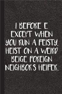 I Before E Except for When You Run a Feisty, Heist on a Weird Beige Foreign Neighbors Heifer: English Grammar Journal with Lined Pages for Journaling, Studying, Writing, Reflection and Prayer Workbook