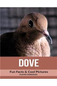 Dove: Fun Facts & Cool Pictures