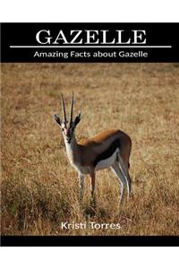 Amazing Facts about Gazelle