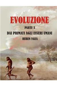 Evoluzione Dai Primati Agli Esseri Umani