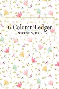 6 Column Accounting Ledger