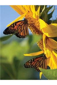 Butterfly Sunflower Blank Journal