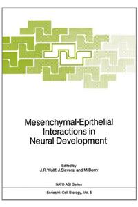Mesenchymal-Epithelial Interactions in Neural Development