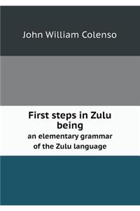 First steps in Zulu being an elementary grammar of the Zulu language