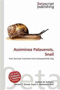 Assiminea Palauensis, Snail