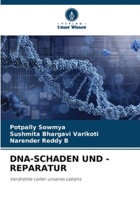 Dna-Schaden Und -Reparatur