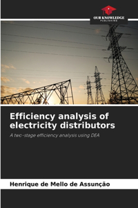 Efficiency analysis of electricity distributors