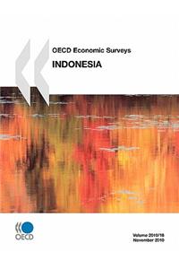 OECD Economic Surveys