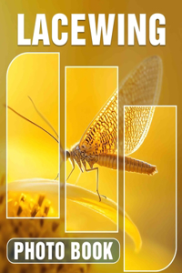 Lacewing Photo Book