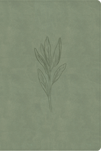 NASB Super Giant Print Reference Bible, Sage Suedesoft Leathertouch