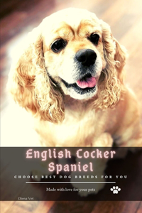 English Cocker Spaniel