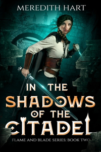 In The Shadows of The Citadel