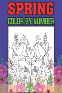 Spring Color By Number