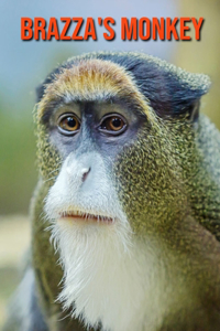 Brazza's Monkey