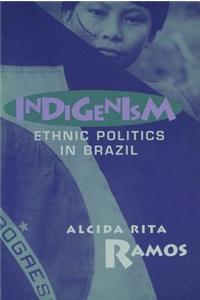 Indigenism: Ethnic Politics in Brazil