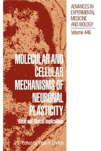 Molecular and Cellular Mechanisms of Neuronal Plasticity