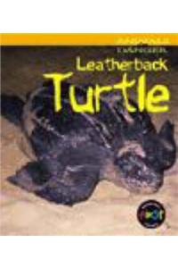 Animals in Danger: Leatherback Turtle (Cased)