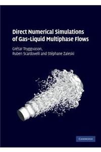 Direct Numerical Simulations of Gas-Liquid Multiphase Flows