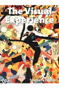 Visual Experience