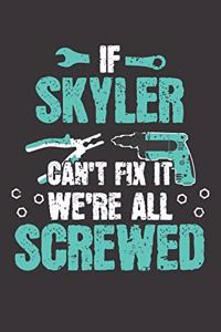 If SKYLER Can't Fix It