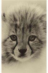 Baby Cheetah Notebook